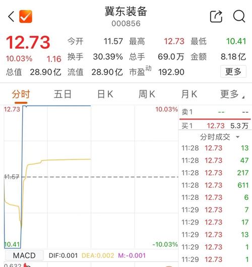 603256預(yù)估價格，603256股票